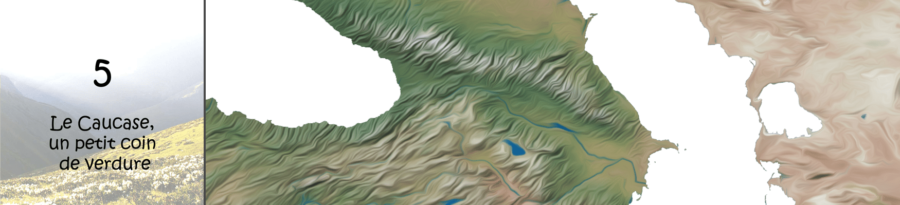 caucase