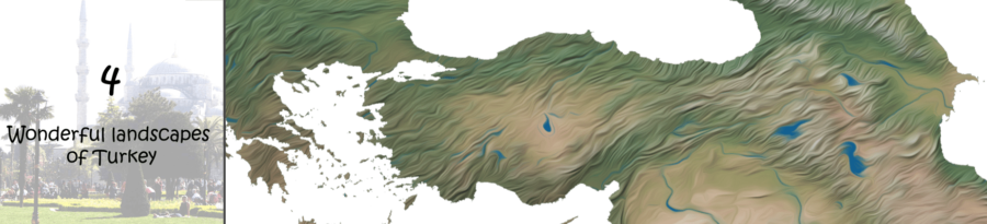 turkey