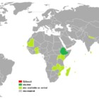 Djibouti