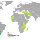 Haiti